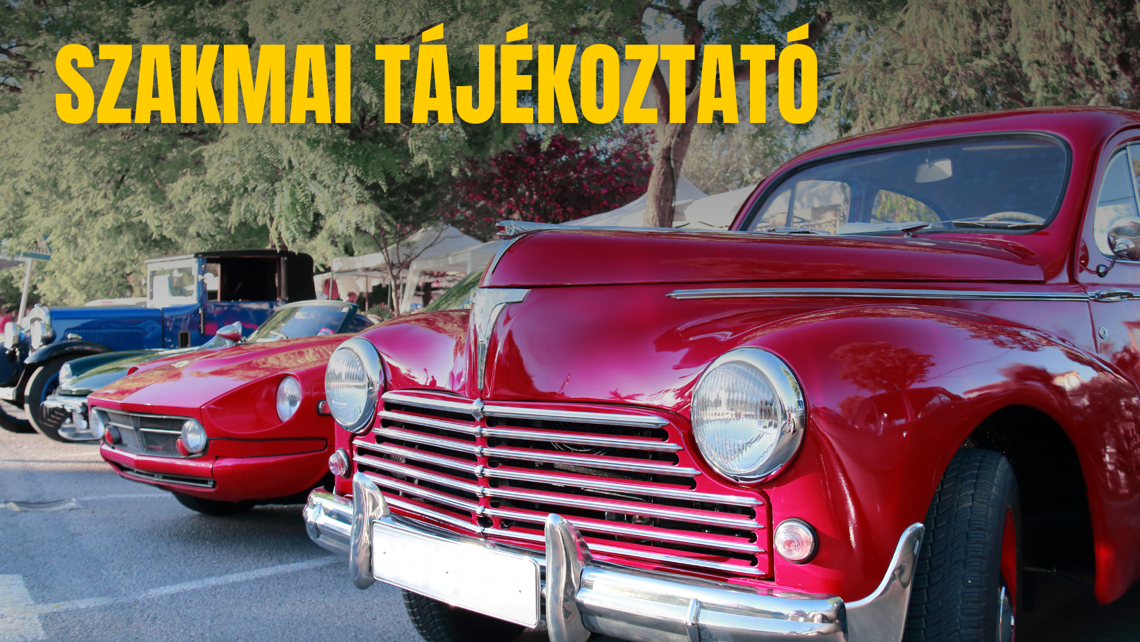 Szakmai tájékoztató